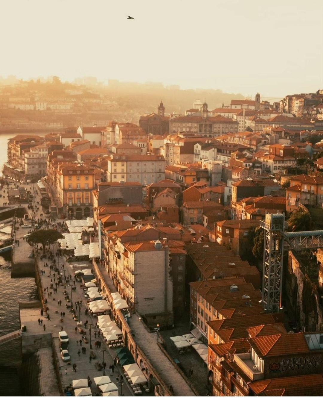 Amazing Studio Douro River Views OOporto Exteriör bild